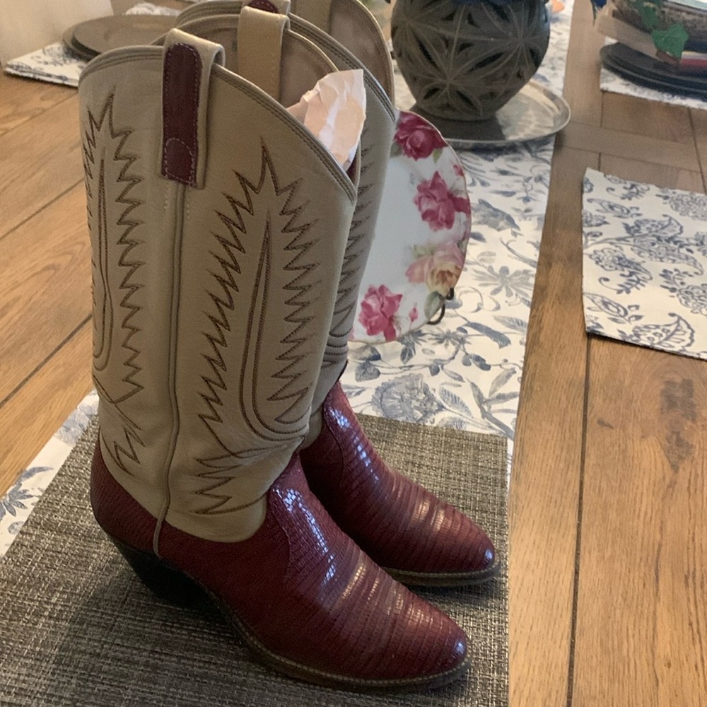 Dan Post boots. Beautifully designed, lizard and leather combination!